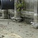 Rita Livingston Photo 11