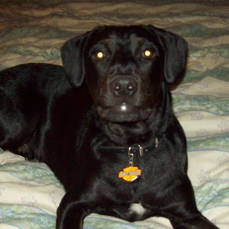 Chuck Hicks Photo 11