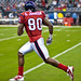 Andre Johnson Photo 14