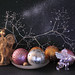 Carol Winter Photo 40