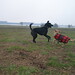Annie Lucas Photo 15