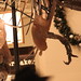 Sue Cook Photo 36