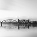 Clayton Cook Photo 39