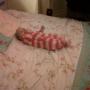 Ann Hart Photo 8