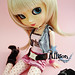 Allison Stock Photo 12