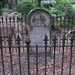 Mary Allison Photo 11