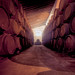 Sherry Case Photo 21