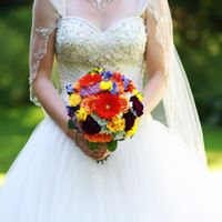 Erin Cronin Photo 12