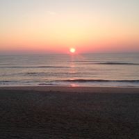 Sharon Rohrer Photo 4