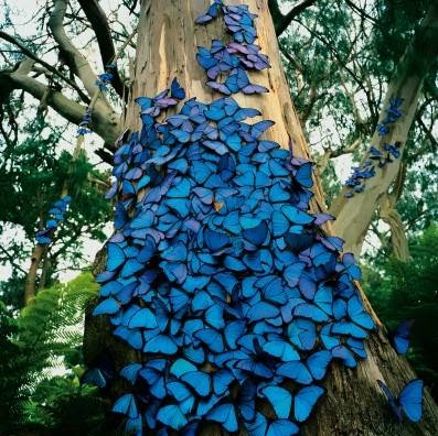 Gena Robinson Photo 26