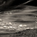 Marcia Fredericks Photo 7