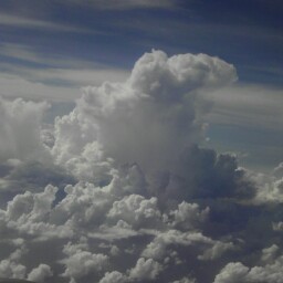 Allen Dozier Photo 4
