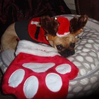 Paulette Simmons Photo 12