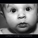 Shannon Watkins Photo 41