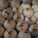 Donald Ball Photo 19