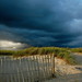 Lesley Rich Photo 19