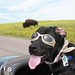 Debra Custer Photo 11