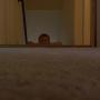 James Conklin Photo 22