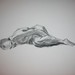 Karl Schultz Photo 15