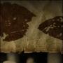Angel Aguirre Photo 17