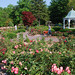 Rose Richmond Photo 23