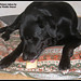 Julie Bone Photo 12