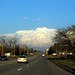 Norman Tuttle Photo 17