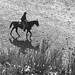 James Albertson Photo 17