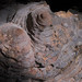 Robin Mines Photo 10