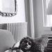 William Ramos Photo 13