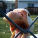 Lisa Gates Photo 28