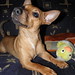 Jack Spaulding Photo 29