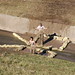 Debbie Conrad Photo 5