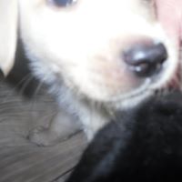 Jessie Richards Photo 12
