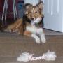 Barbara Boyce Photo 29
