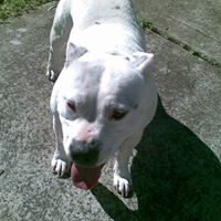 Nellie Cook Photo 10