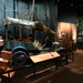 Julie Chadbourne Photo 9