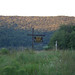 Dennis Mccarty Photo 33