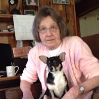 Jane Caswell Photo 17