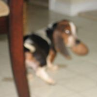 Karen Lemoine Photo 5