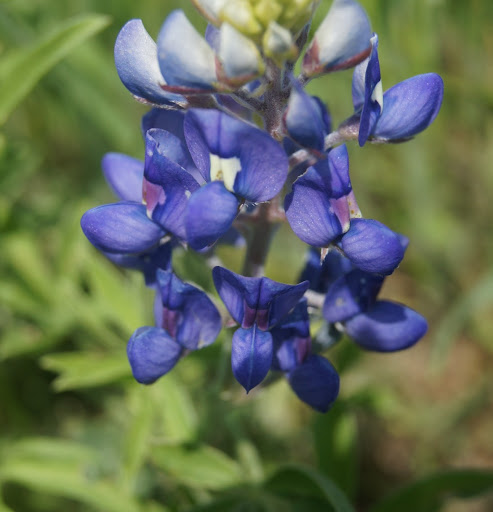 Donna Brandenburg Photo 23