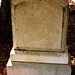 Charlotte Johns Photo 15