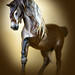 Deborah Mcdermott Photo 16