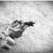 James Monge Photo 17