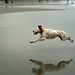 Melissa Grimm Photo 20