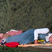 Patrick Coley Photo 14