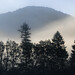 Misty Justice Photo 20