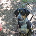 Gertrude Downing Photo 8