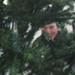 Kevin Lloyd Photo 31