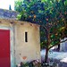 Vicki Vines Photo 17